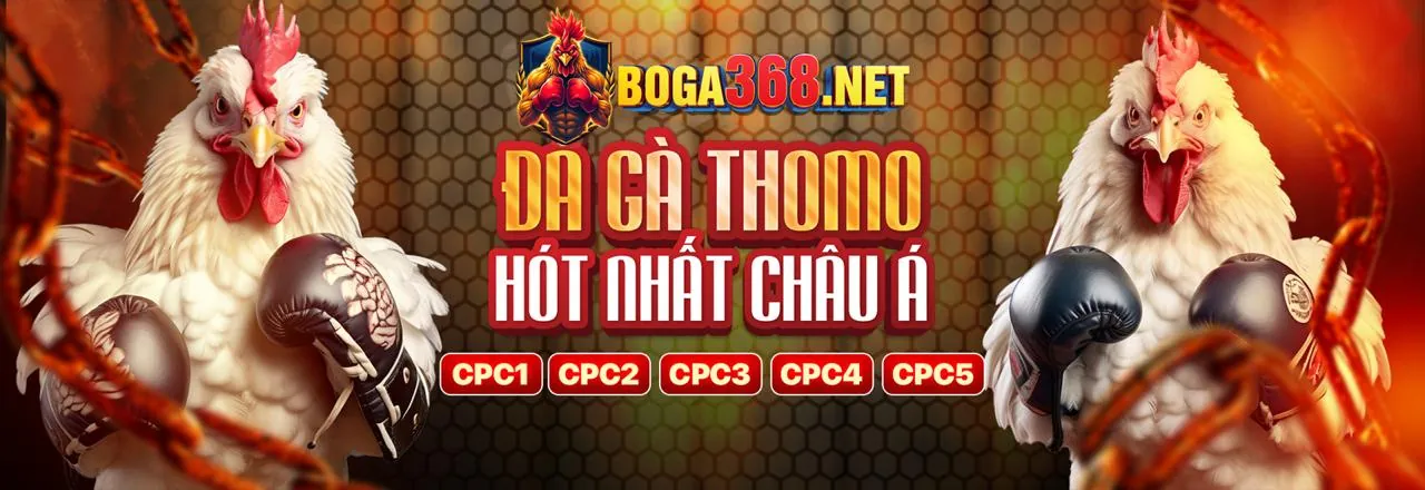 Hoàn trả cược G28 Nhà Cái